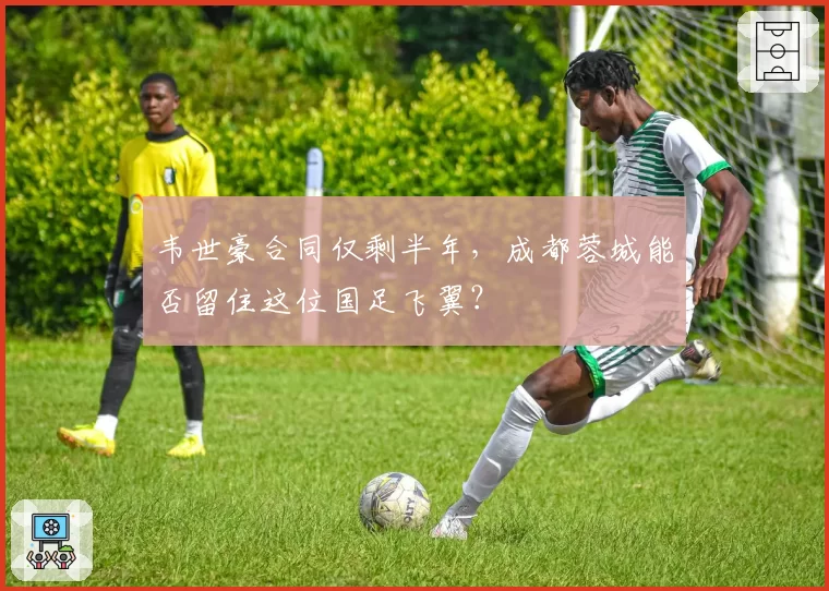 韦世豪合同仅剩半年,成都蓉城能否留住这位国足飞翼?