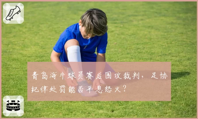青岛海牛球员赛后围攻裁判，足协纪律处罚能否平息怒火？