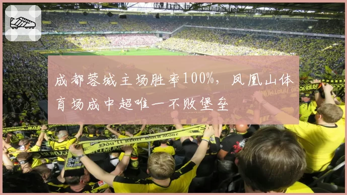 成都蓉城主场胜率100%,凤凰山体育场成中超唯一不败堡垒